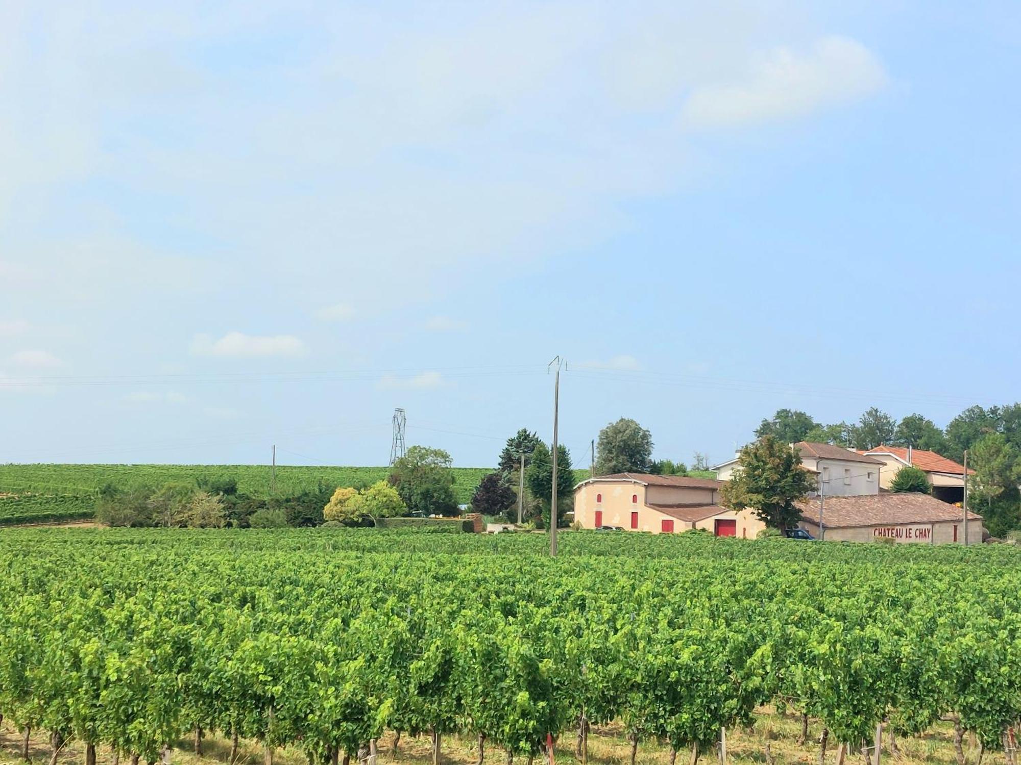Duplex Cocoon - 10 Min De Blaye - 20 Min Cnpe - Wifi - Tv Hd Lägenhet Saint-Seurin-de-Cursac Exteriör bild